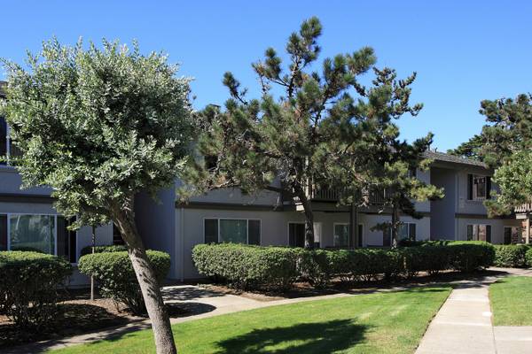 Apartments on Palmetto Ave · Daly City photo 4