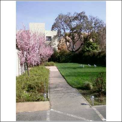 0BR/1BA Townhouse · Berkeley photo 2