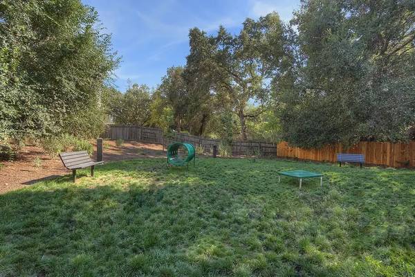 1BR/1BA Apartment · Walnut Creek photo 3