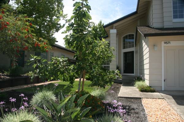 4BR/3BA Single Family House on Wellington Circle · Windsor photo 3