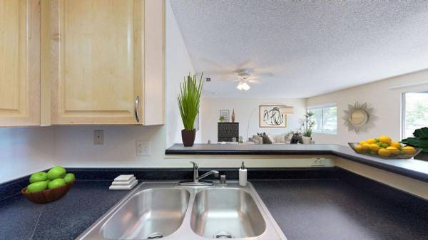 Apartments on Clayton Road · Concord photo 2