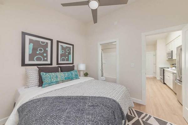 Apartments on Water St · Santa Cruz photo 5