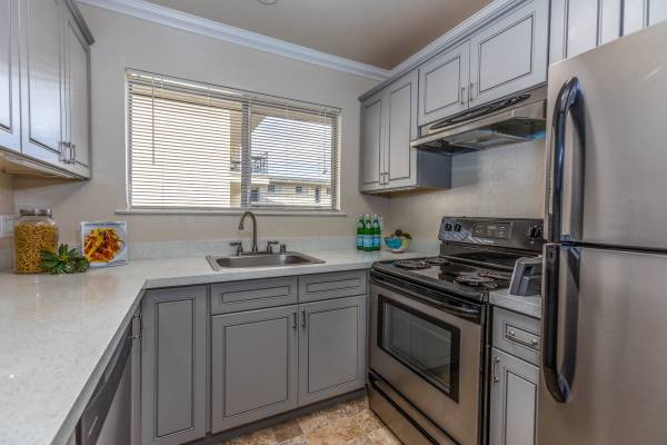 Apartments on Creekside Dr · Walnut Creek photo 4