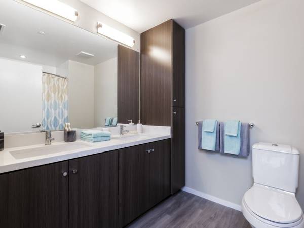 1BR/1BA Apartment on Indiana St · San Francisco photo 5