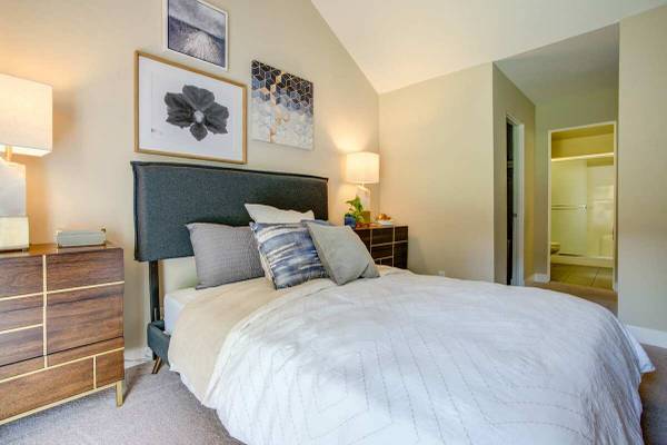 Apartments on Continental Circle · Mountain View photo 5