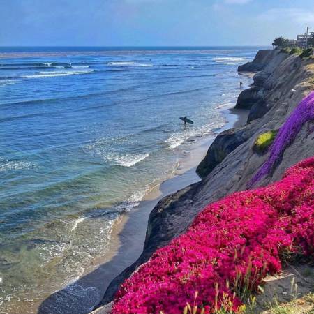0BR/1BA Apartment · Santa Cruz