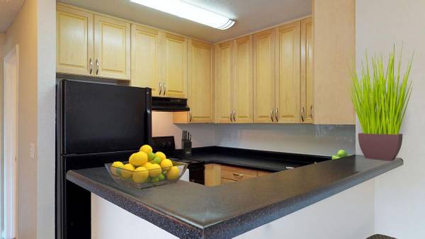 Apartments on Clayton Road · Concord