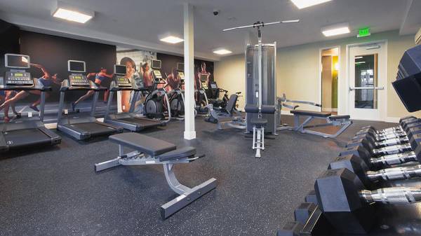 Apartments on El Camino Real · Santa Clara photo 4