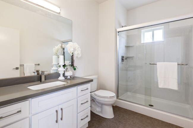Mavericks Apartments photo 5