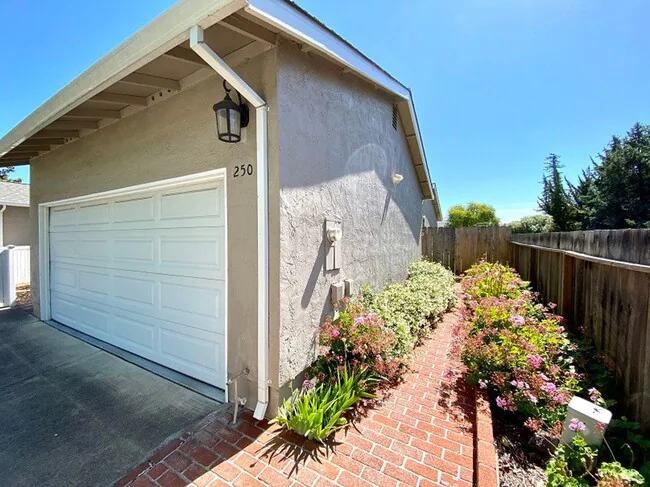 250 Hartson St Napa, CA 94559 photo 4