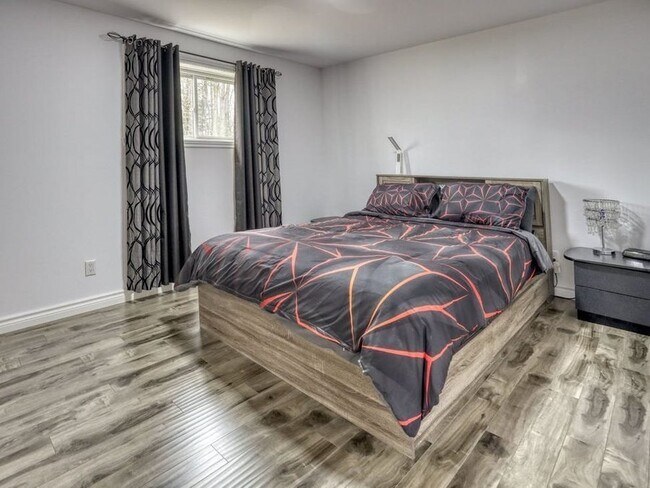 2542 Babcock Rd San Antonio, TX 78229 photo 4