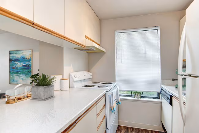 Arabelle Apartments photo 4