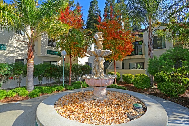 Dry Creek Apartments photo 4