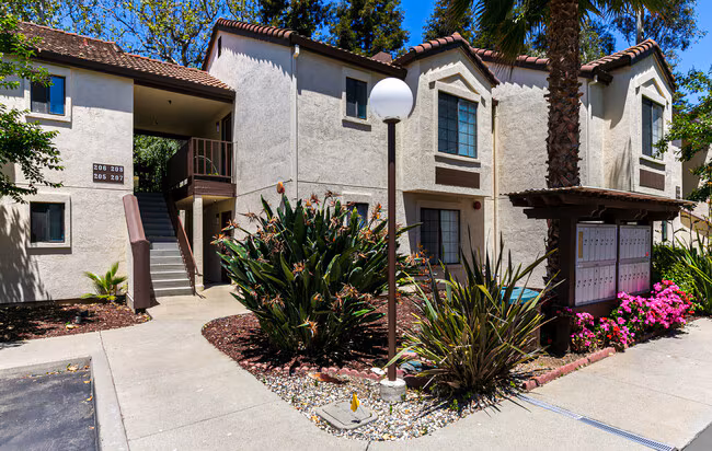 Dry Creek Apartments photo 3