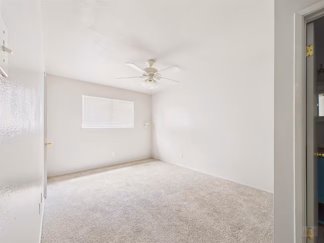 803 W 28th St Austin, TX 78705 photo 5