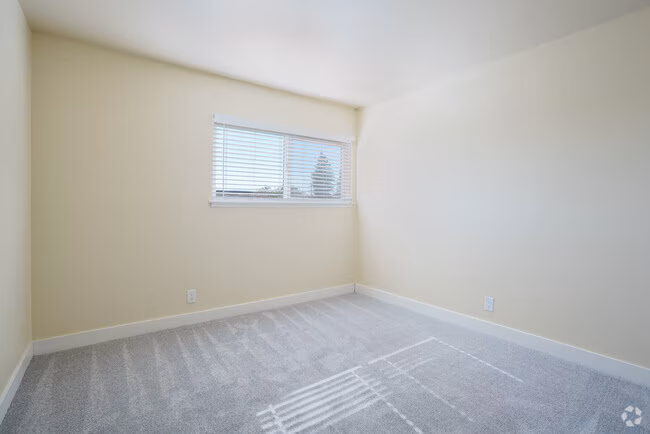 Eden Terrace photo 2