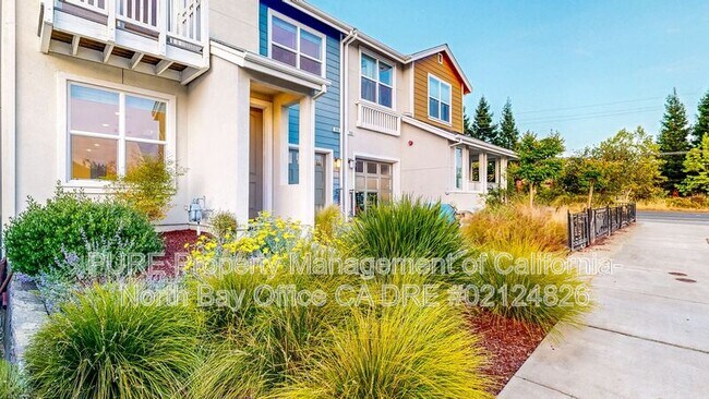 908 Prospect Ave Santa Rosa, CA 95409 photo 3