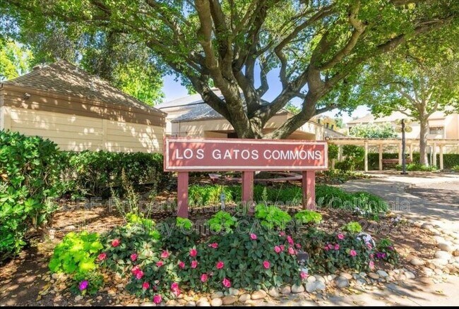 451 Alberto Way