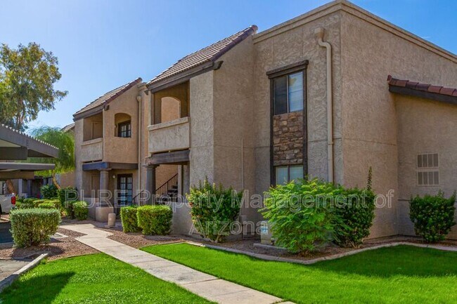 5995 N 78th St Scottsdale, AZ 85250