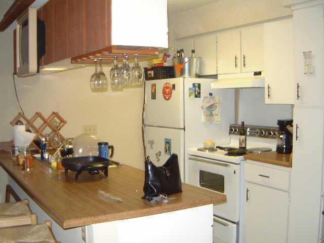 910 Duncan Ln Austin, TX 78705 photo 5
