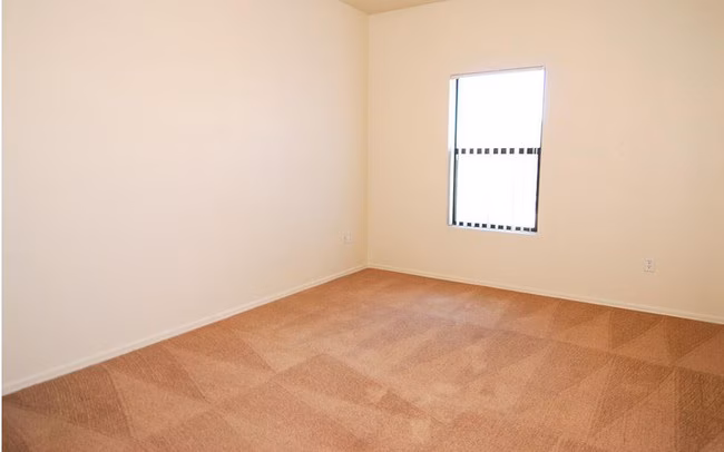 San Remo Apartments photo 4