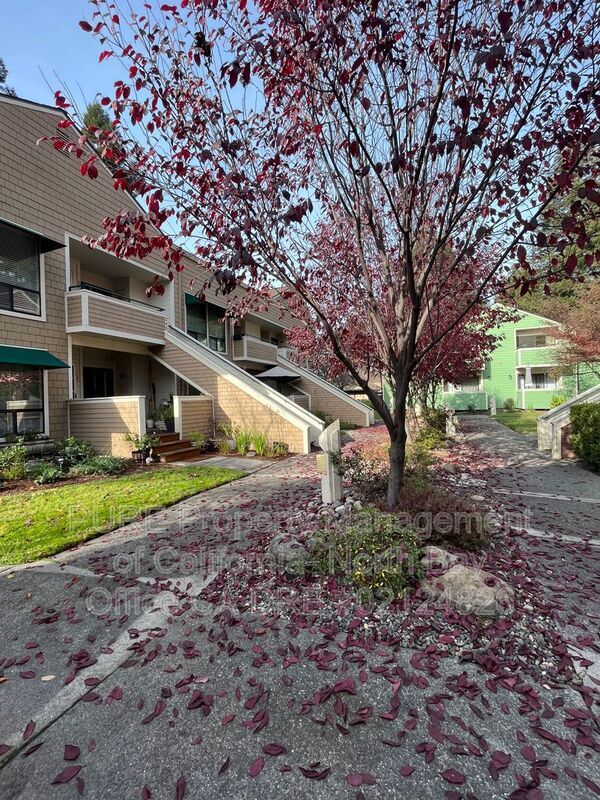 901 Russell Ave Santa Rosa, CA 95403 photo 5