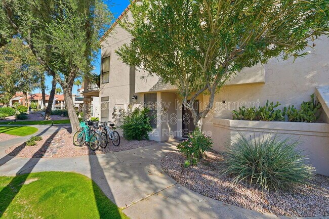 9707 E Mountain View Rd Scottsdale, AZ 85258 photo 5