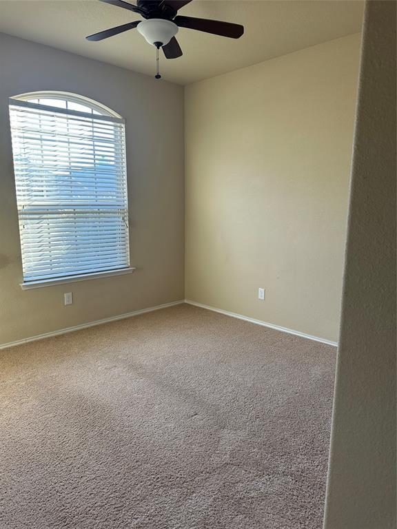9109 Stewart Street, Cross Roads, TX 76227 photo 5