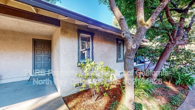 10 Catalpa Ave Mill Valley, CA 94941 photo 2