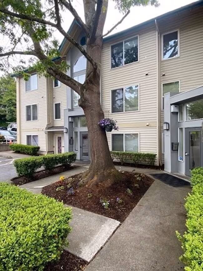 English Gardens Apartments photo 3