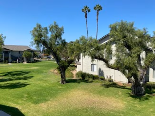 Cinnamon Woods Apartments photo 4