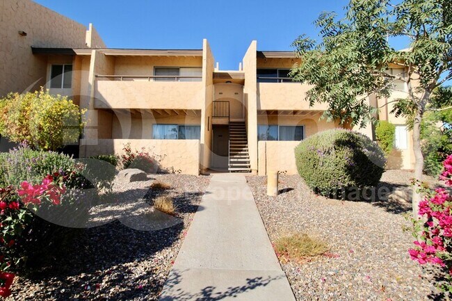 8055 E Thomas Rd Scottsdale, AZ 85251 photo 2