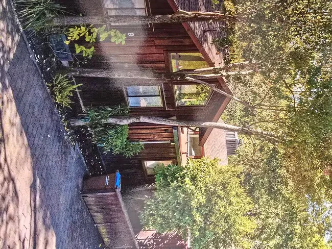 9 Hillside Ave Kentfield, CA 94904 photo 3