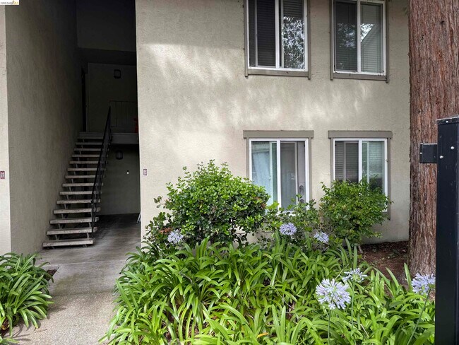 2562 Walnut Blvd Walnut Creek, CA 94596 photo 2
