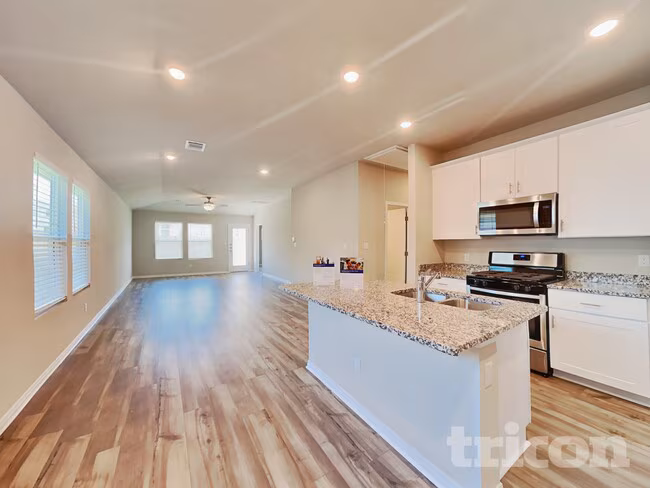 3528 Stride Lane, Georgetown, TX 78626 photo 5