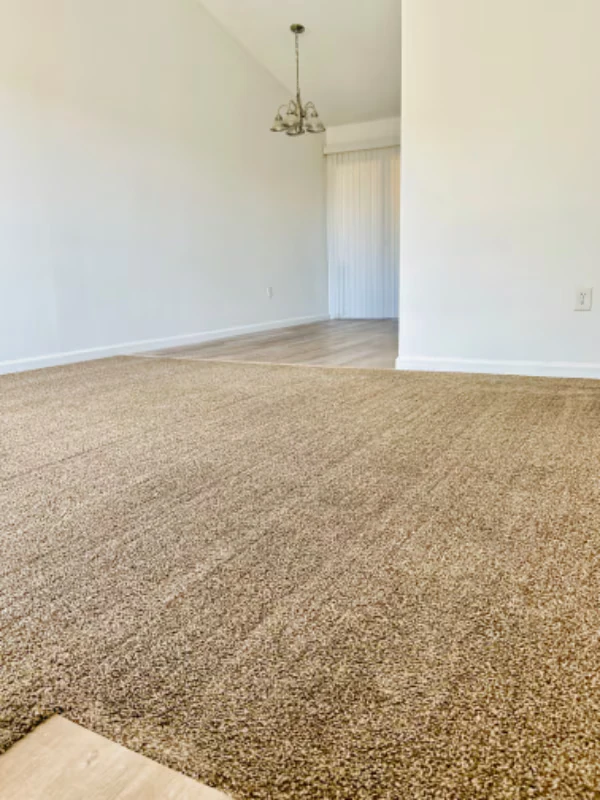 461 W Holmes Ave Mesa, AZ 85210 photo 2