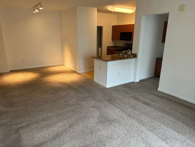 1060 S Third St San Jose, CA 95112 photo 4