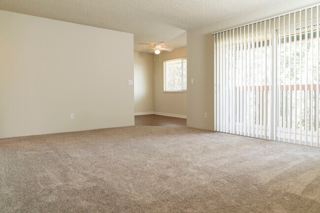 Los Altos Apartments photo 5