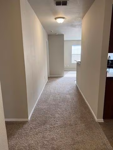 1620 Emma Dr Dallas, TX 75241 photo 3