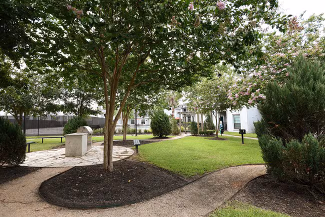 Green Tree Place photo 3