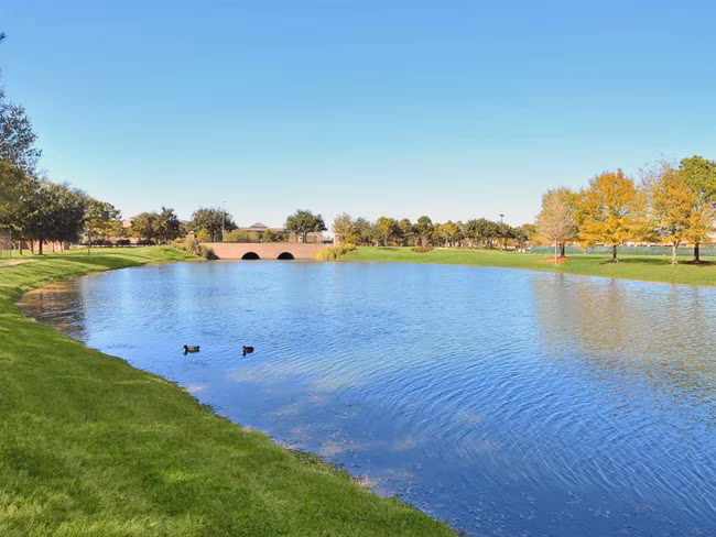 The Lakes At Cinco Ranch photo 2