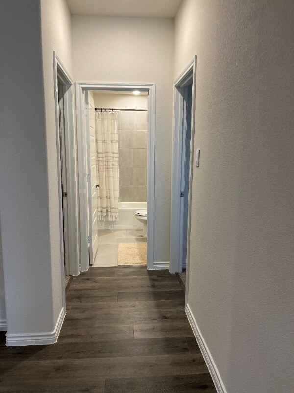 2917 Bald Eagle Boulevard, Aubrey, TX 76227 photo 5