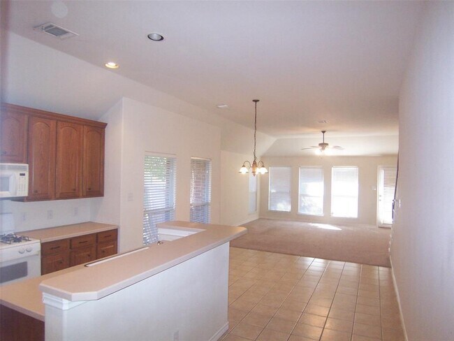 8001 Elk Mountain Trail, Mckinney, TX 75070 photo 5