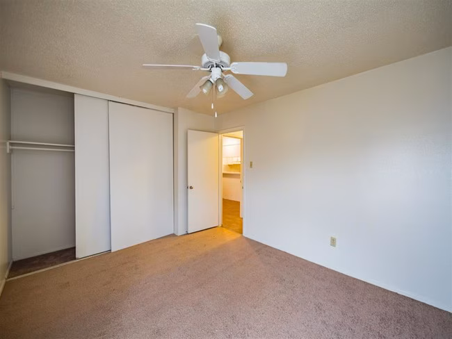 Forest Creek Apartments photo 3