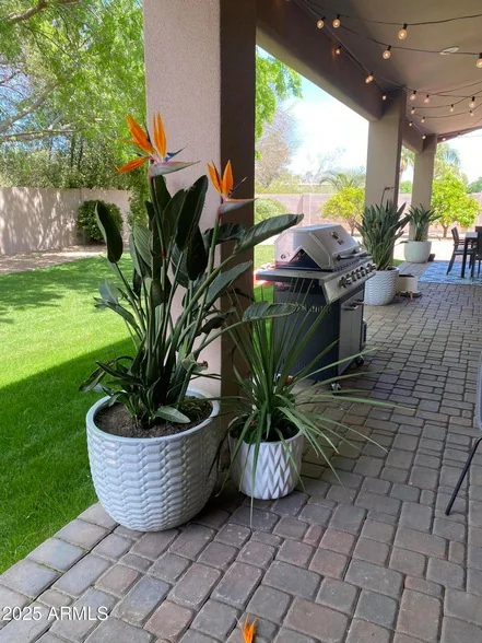 9458 E Desert Cove Avenue photo 3