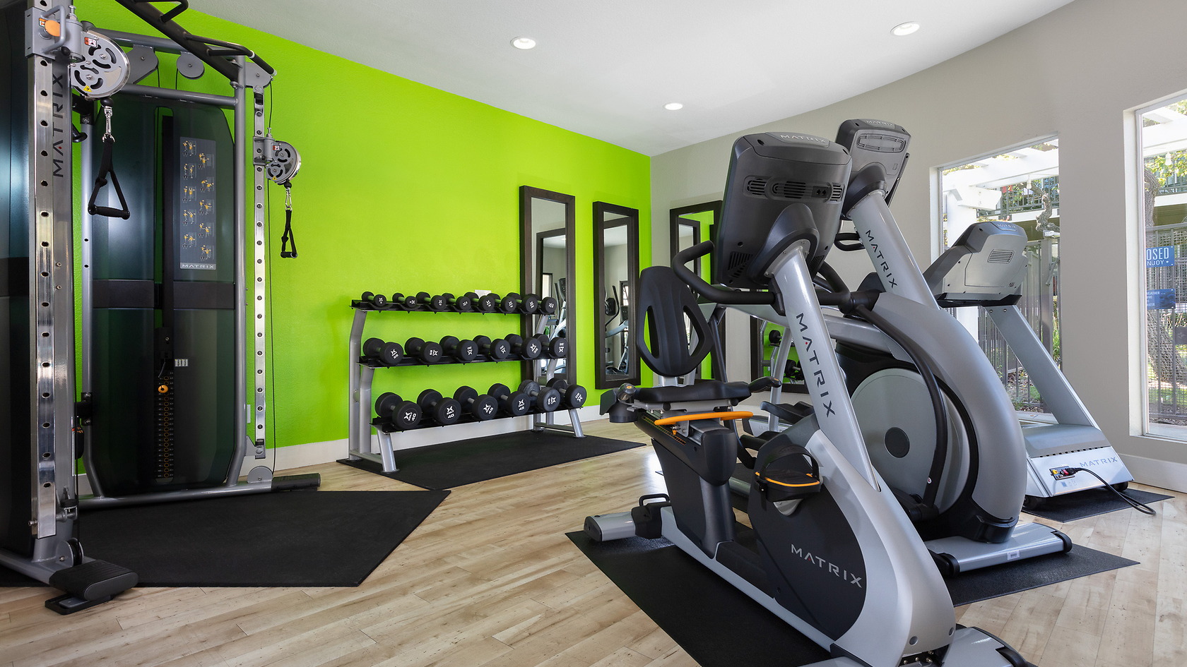 1000 Kiely photo 3