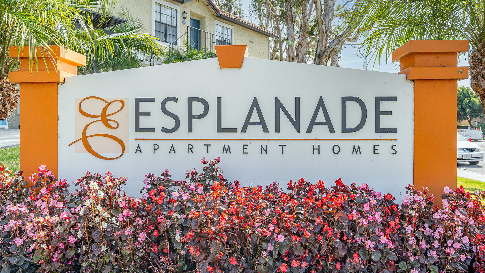 Esplanade photo 4