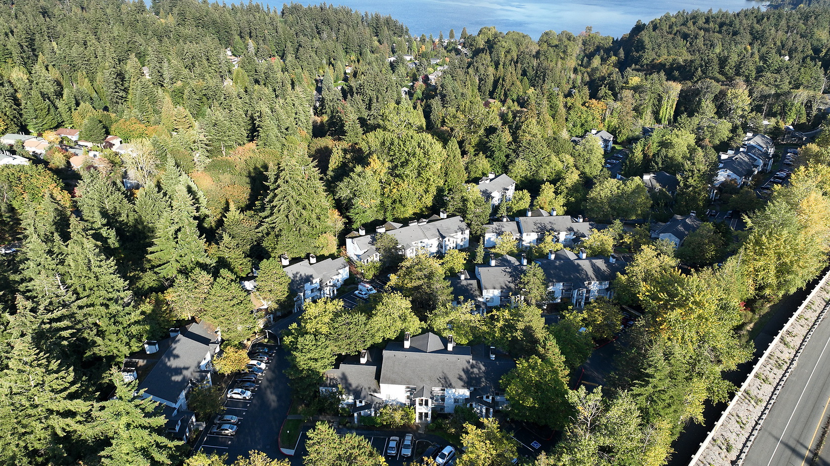Sammamish View photo 4