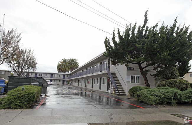 Pacific Apartments photo 2