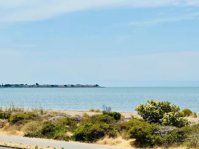 300 Sand Beach Rd Alameda, CA 94501 photo 5